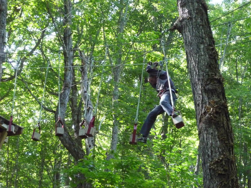 La Forêt de Maître Corbeau – Sentiers aériens